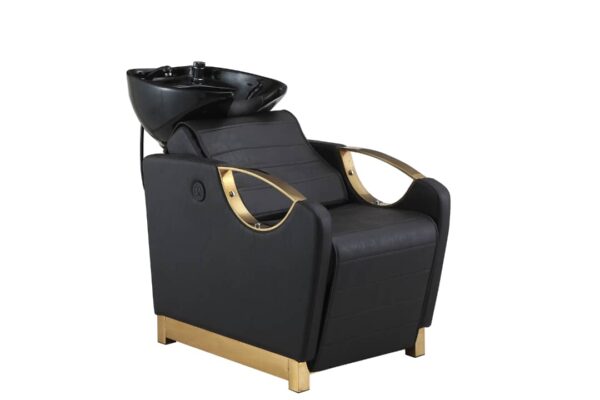 WASUNIT-ELECTRIC-MASSAGE-GOLD1