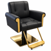 Kappersstoel DSS Aurelio Gold - 1 Kappersstoel DSS Aurelio Gold